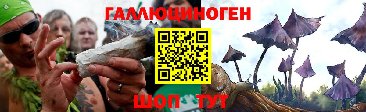 Псилоцибиновые грибы MAGIC MUSHROOMS Конаково